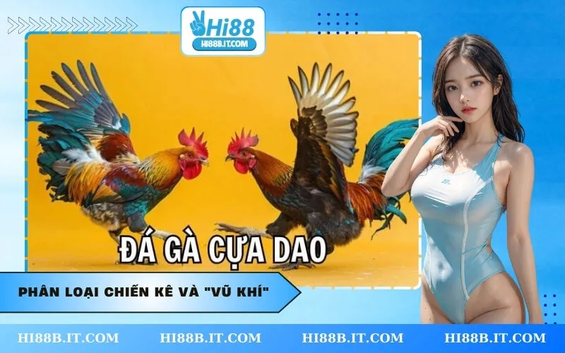 Phân loại chiến kê và vũ khí